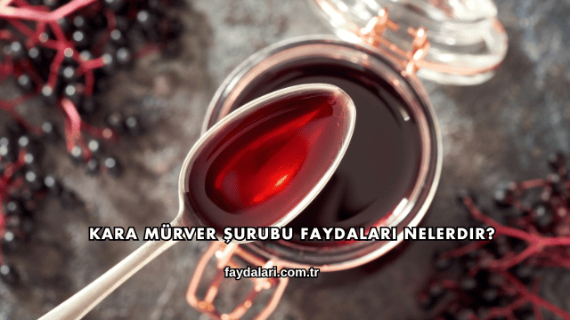 Kara Mürver Şurubu Faydaları Nelerdir?