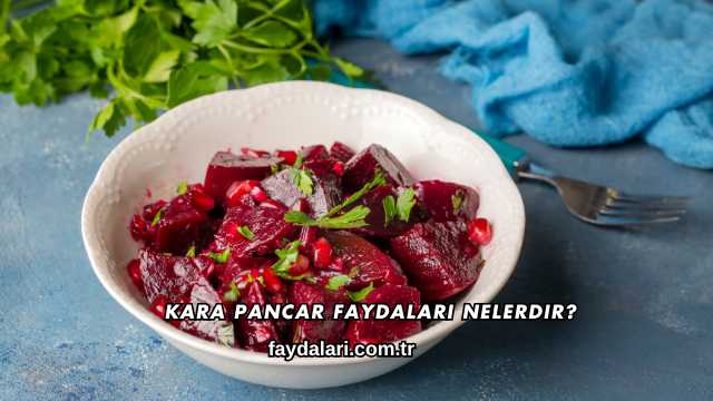 Kara Pancar Faydaları Nelerdir?