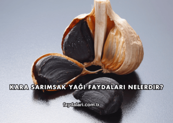 Kara Sarımsak Yağı Faydaları Nelerdir?