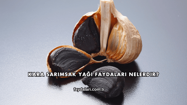Kara Sarımsak Yağı Faydaları Nelerdir?