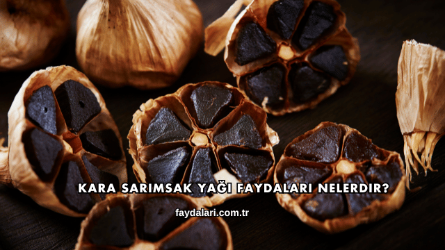 Kara Sarımsak Yağı Faydaları Nelerdir?