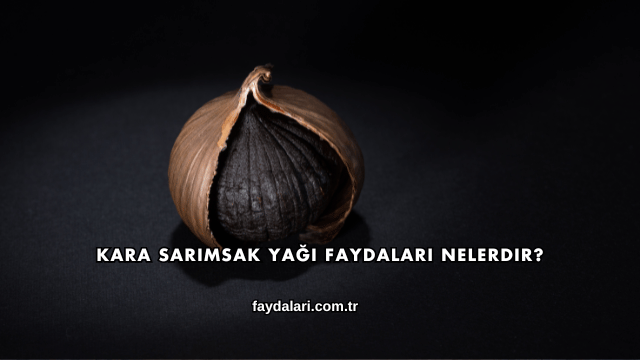 Kara Sarımsak Yağı Faydaları Nelerdir?