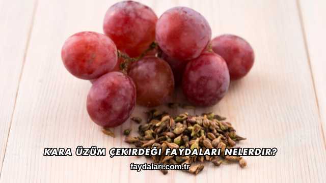 Kara Üzüm Çekirdeği Faydaları Nelerdir