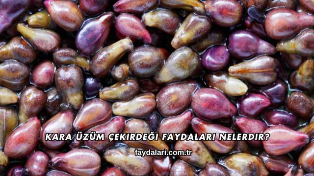 Kara Üzüm Çekirdeği Faydaları Nelerdir
