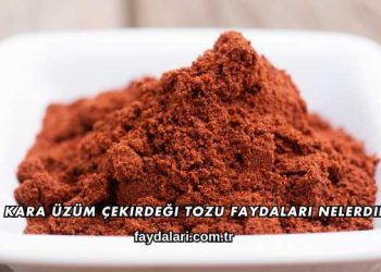 Kara Üzüm Çekirdeği Tozu Faydaları Nelerdir?
