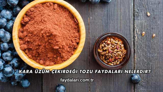 Kara Üzüm Çekirdeği Tozu Faydaları Nelerdir?