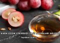Kara Üzüm Çekirdeği Yağı Faydaları Nelerdir?