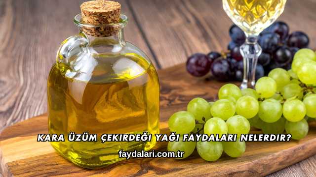 Kara Üzüm Çekirdeği Yağı Faydaları Nelerdir?