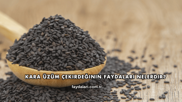 Kara Üzüm Çekirdeğinin Faydaları Nelerdir?