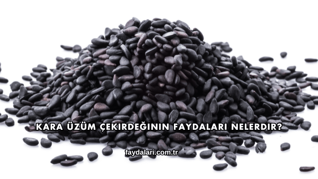 Kara Üzüm Çekirdeğinin Faydaları Nelerdir?