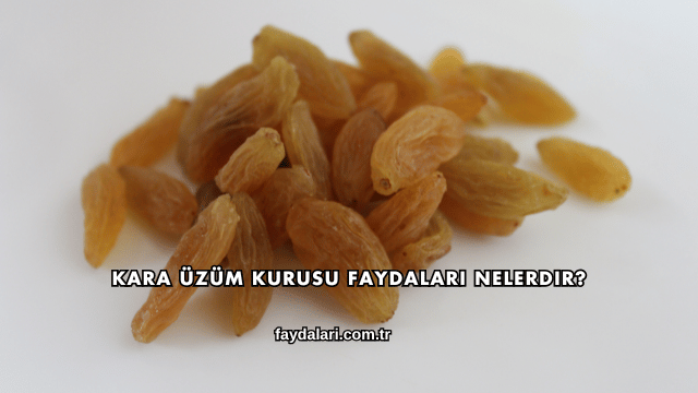 Kara Üzüm Kurusu Faydaları Nelerdir?
