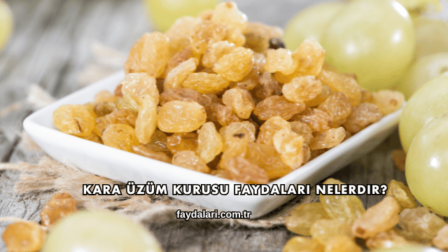 Kara Üzüm Kurusu Faydaları Nelerdir?