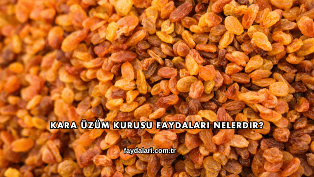 Kara Üzüm Kurusu Faydaları Nelerdir?