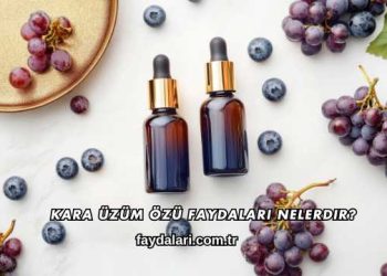 Kara Üzüm Özü Faydaları Nelerdir?