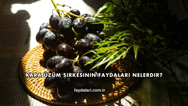 Kara Üzüm Sirkesinin Faydaları Nelerdir?