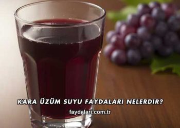 Kara Üzüm Suyu Faydaları Nelerdir?