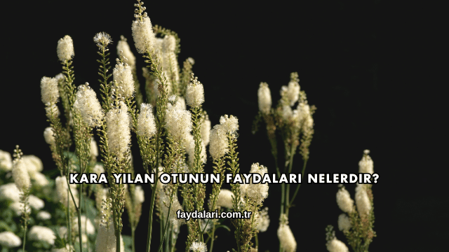 Kara Yılan Otunun Faydaları Nelerdir?