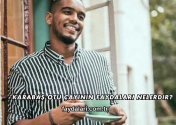 Karabaş Otu Çayının Faydaları Nelerdir?