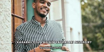 Karabaş Otu Çayının Faydaları Nelerdir?