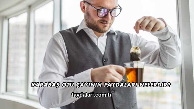 Karabaş Otu Çayının Faydaları Nelerdir?