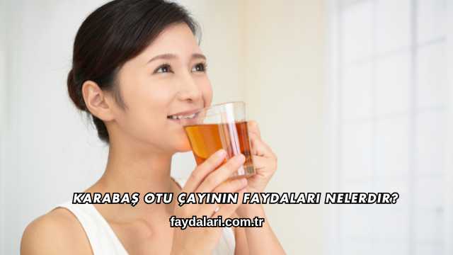 Karabaş Otu Çayının Faydaları Nelerdir?