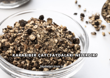 Karabiber Çayı Faydaları Nelerdir?