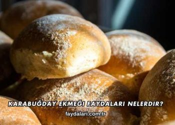 Karabuğday Ekmeği Faydaları Nelerdir