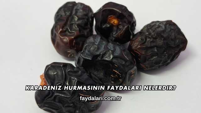 Karadeniz Hurmasının Faydaları Nelerdir?