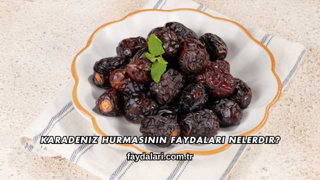 Karadeniz Hurmasının Faydaları Nelerdir?