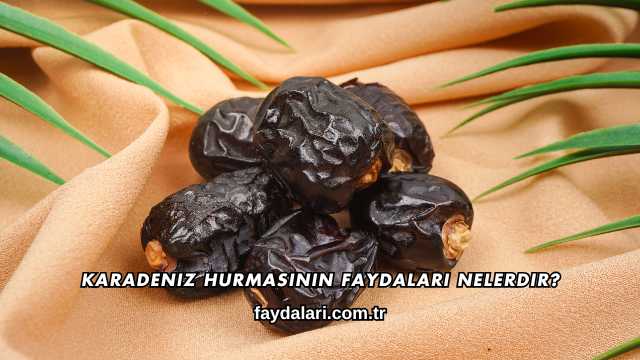 Karadeniz Hurmasının Faydaları Nelerdir?