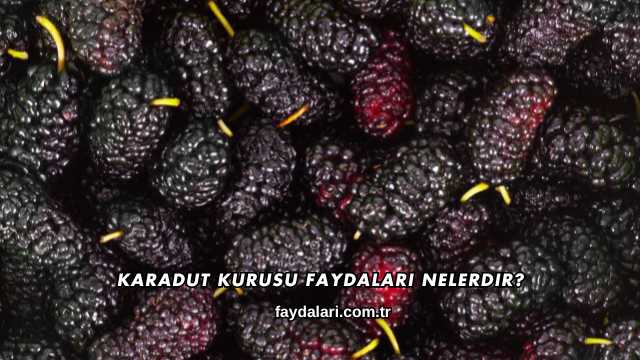 Karadut Kurusu Faydaları Nelerdir?