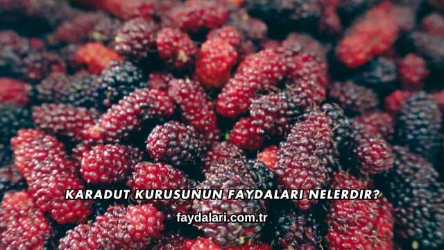 Karadut Kurusunun Faydaları Nelerdir?