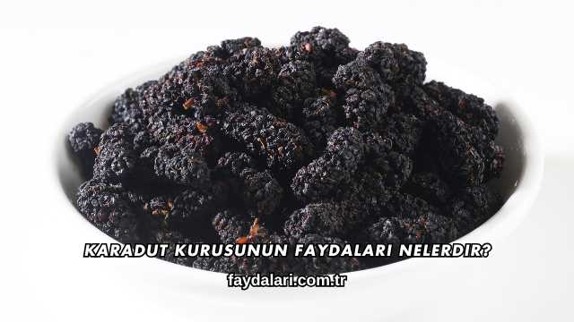 Karadut Kurusunun Faydaları Nelerdir?
