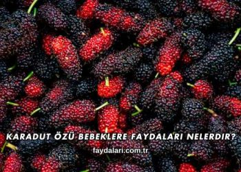 Karadut Özü Bebeklere Faydaları Nelerdir?