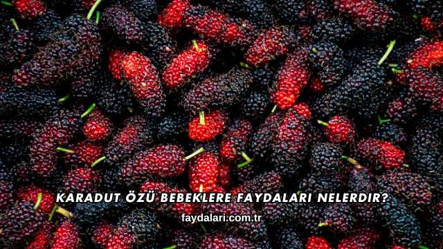 Karadut Özü Bebeklere Faydaları Nelerdir?