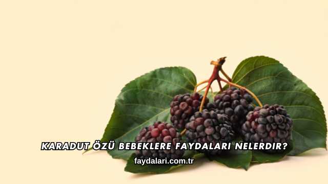 Karadut Özü Bebeklere Faydaları Nelerdir?