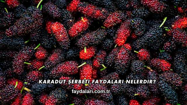 Karadut Şerbeti Faydaları Nelerdir?