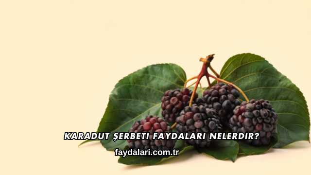 Karadut Şerbeti Faydaları Nelerdir?