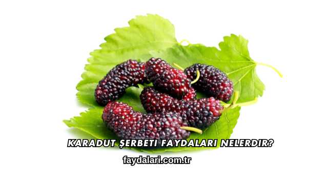 Karadut Şerbeti Faydaları Nelerdir?