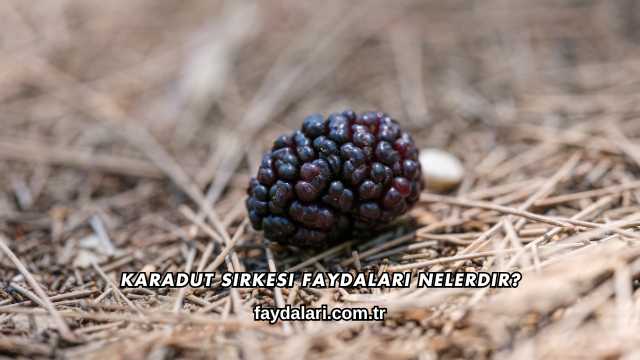 Karadut Sirkesi Faydaları Nelerdir?
