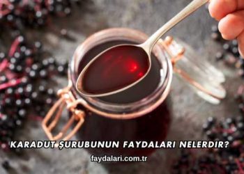 Karadut Şurubunun Faydaları Nelerdir?