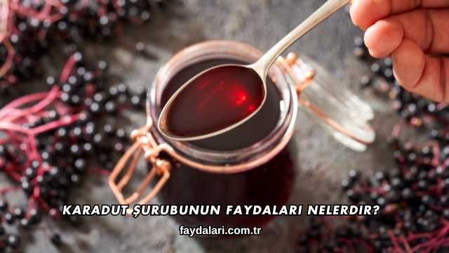 Karadut Şurubunun Faydaları Nelerdir?