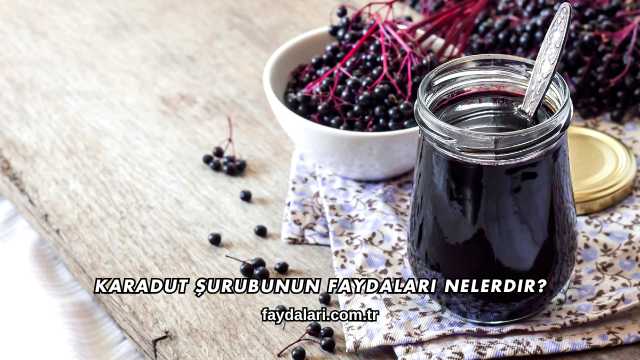 Karadut Şurubunun Faydaları Nelerdir?