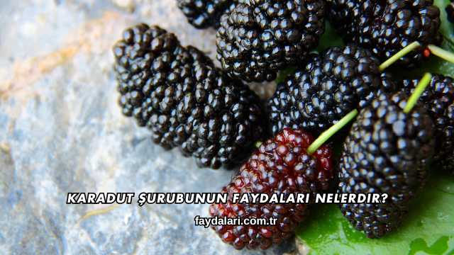 Karadut Şurubunun Faydaları Nelerdir?