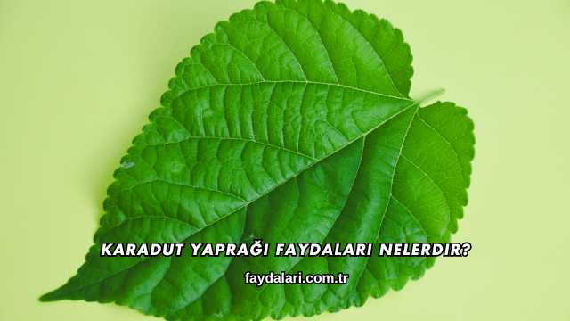 Karadut Yaprağı Faydaları Nelerdir
