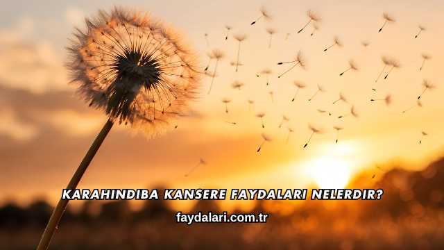 Karahindiba Kansere Faydaları Nelerdir?