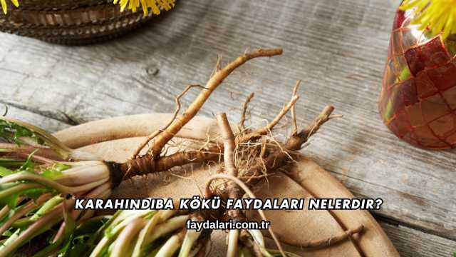 Karahindiba Kökü Faydaları Nelerdir?