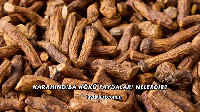 Karahindiba Kökü Faydaları Nelerdir?