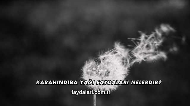 Karahindiba Yağı Faydaları Nelerdir?