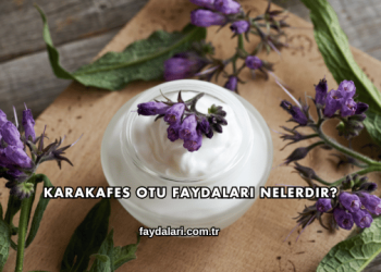 Karakafes Otu Faydaları Nelerdir?